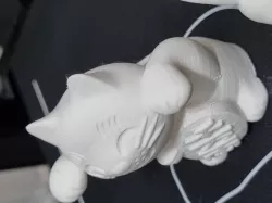 Creality Cat