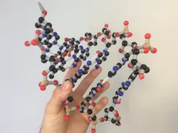 Full-color DNA building kit