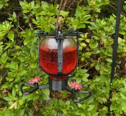Hummingbird Feeder from an apple juice bottle