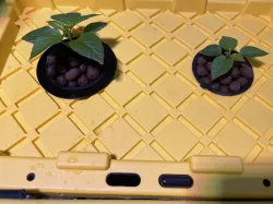 Hydroponic Net Pot Light Blocker