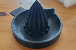 Juicer with seed-catcher