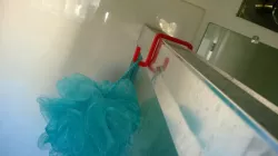 Luffa Shower Hook