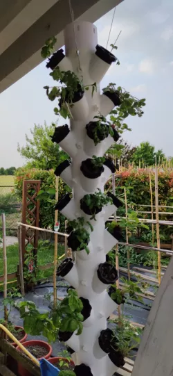 Modular Hydroponic Tower Garden