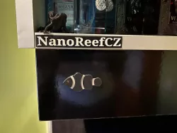 Name tag