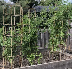 Parametric Bamboo Trellis Joint  -  July 2022 Update
