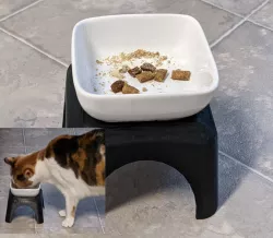 Pet Dish Pedestal