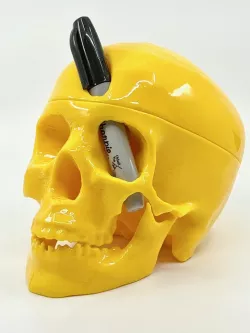 Phineas Gage Skull