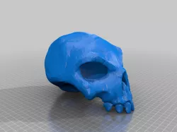 sea of thieves skull with jaw 