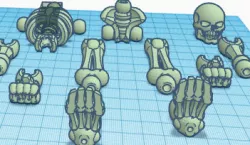 skeleton