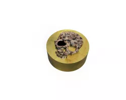 Skull Container with open Eye