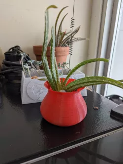 Small Vase