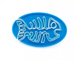 SOAP FISH ON A FOSSIL DISH