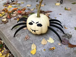 Spider Pumpkin