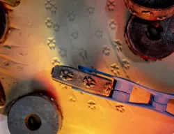 Texture Clay Wheel - Wolf Tracks