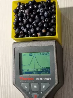 Thermo IdentiFINDER sample container