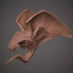 VAMPIRE DRAGON