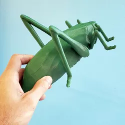 Anatomically-correct Esperanza insect