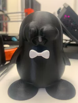 Bowtie and fancy hat for penguin print