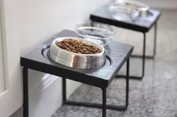 Cat Dish Stand