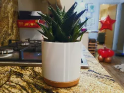 Cork Coaster Plant Pot (IKEA Hack)