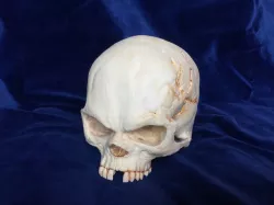 Fantasy skull with secret compartment