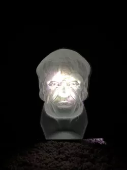 Following Head Bust