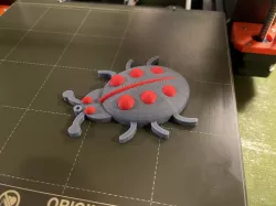 LadyBug multicolor lady bug model