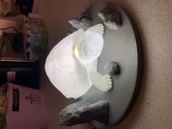 LAMPE TORTUE / TURTLE LAMP