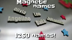 Magnetic names (for refrigerator poetry)
