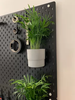 magnetic Skadis Plant Shelf