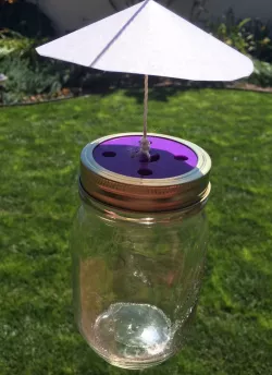 Mason Jar Fly Trap