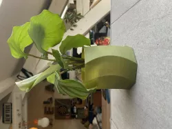 Ocotgonal geometric pot
