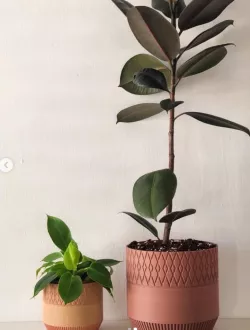 Patterned Planter