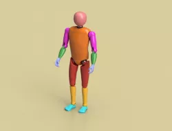 PM Mannequin 