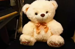 Printable skeleton for a teddy bear
