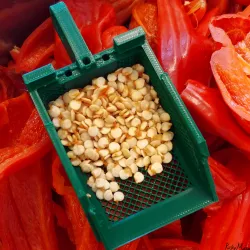 Seeds Drying Container