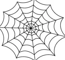 spiderweb shelf supports