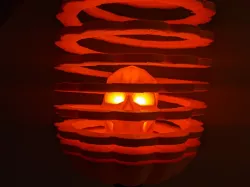 Springo Pumpkin Skull