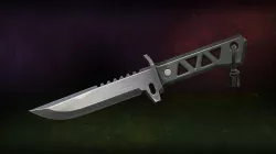 VALORANT XENOHUNTER KNIFE