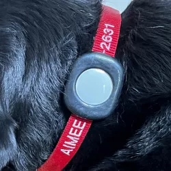 AirTag Adapter for Dog Collars