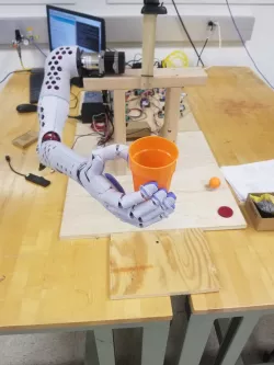 Animatronic Arm Capstone