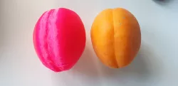 Apricot (scanned)