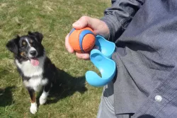 Ball Holder