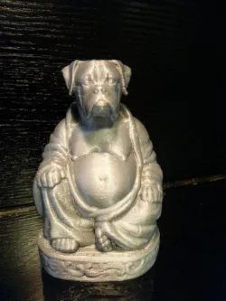 Boxer Buddha