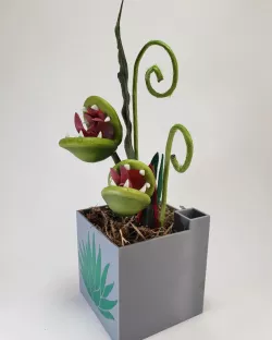 Carnivorous Plant Bog Pot