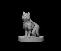 Cat in Armor