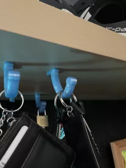 Ceiling Hook