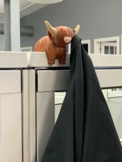Coo Coat Hanger for Cubicle, Highland Coo
