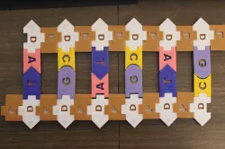 DNA / RNA Manipulative Display Set V2