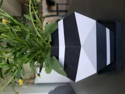 Dual Color Dodecahedron Pot